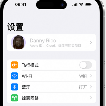 双牌appleID维修服务iPhone设置中Apple ID显示为灰色无法使用 