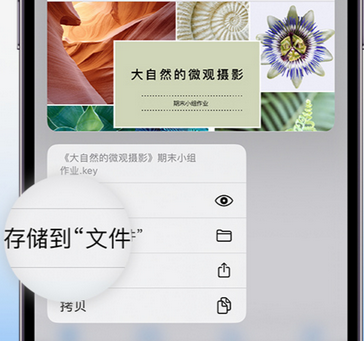 双牌apple维修中心分享iPhone文件应用中存储和找到下载文件