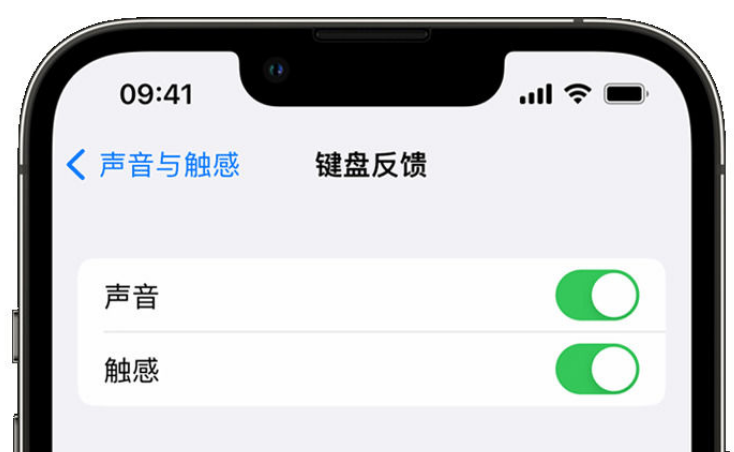 双牌苹果手机维修分享iPhone 14触感键盘使用方法 