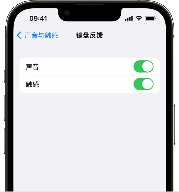 双牌苹果14维修店分享如何在 iPhone 14 机型中使用触感键盘 