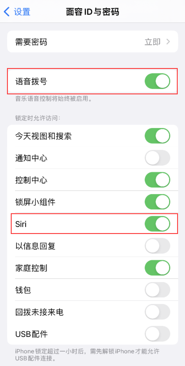 双牌苹果维修网点分享不解锁 iPhone 的情况下通过 Siri 拨打电话的方法 