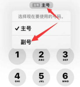 双牌苹果14维修店分享iPhone 14 Pro Max使用副卡打电话的方法 