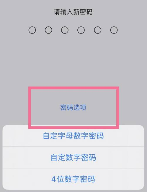 双牌苹果14维修分享iPhone 14plus设置密码的方法 