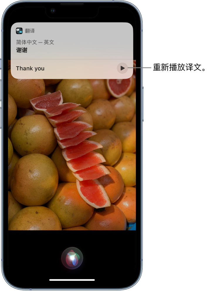 双牌苹果14维修分享 iPhone 14 机型中使用 Siri：了解 Siri 能帮你做什么 