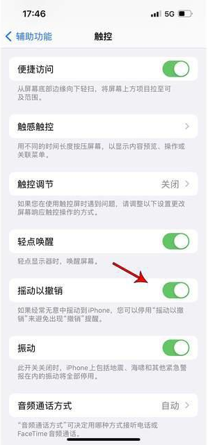 双牌苹果手机维修分享iPhone手机如何设置摇一摇删除文字 